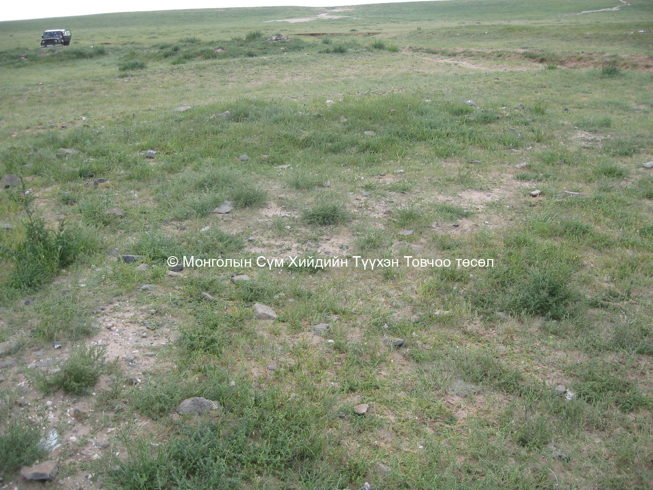 Их булгийн хийдийн туурь/4/